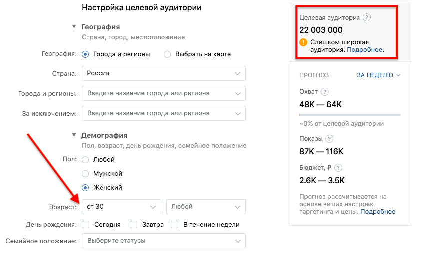 Целевая аудитория рекламы красок во ВКонтакте с ограничением по стране, полу и возрасту